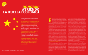 Dongtan: abriendo la Huella ecológica
