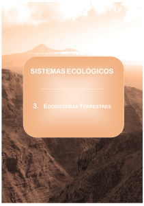 15_cambios_fenologicos_18102012