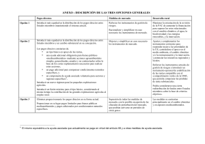 ANEXO : DESCRIPCI&Oacute;N DE LAS TRES OPCIONES GENERALES
