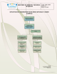 estructura del viceministerio de recursos naturales y - SIP-MARN