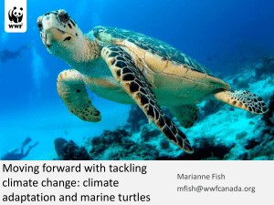 Moving forward with tackling climate change: climate adaptation and