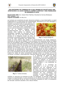 Uso sostenible de turberas en la Isla Grande de Chilo&eacute;