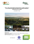 documento final - The Forest Carbon Partnership Facility