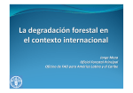 4. Presentación FAO - Jorge Meza