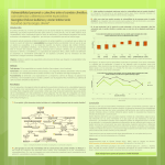 vulnerabilidad - pincc