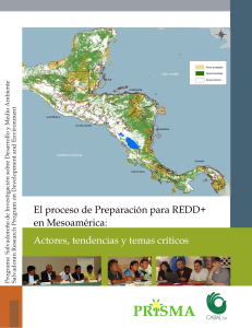 El proceso de Preparación para REDD+ en Mesoamérica