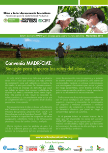 Bolet&iacute;n Convenio MADR-CIAT - Clima y Sector Agropecuario