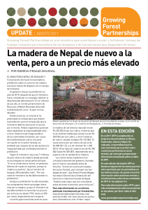 La madera de Nepal de nuevo a la venta, pero a un precio m&aacute;s