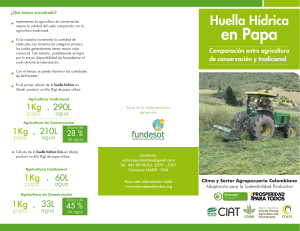 Huella h&iacute;drica en papa - Clima y Sector Agropecuario Colombiano