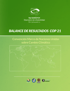 BALANCE DE RESULTADOS COP 21