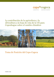 La contribución de la agricultura y la silvicultura a la hoja de ruta de