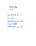 CAPITULO 6 – Huellas Ambientales