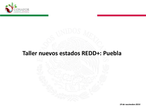 Taller nuevos estados REDD+: Puebla