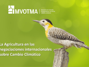 Diapositiva 1 - Finanzas Carbono