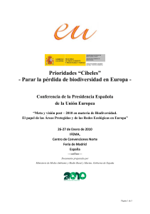 Prioridades &ldquo;Cibeles&rdquo;