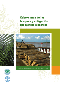 Gobernanza de los bosques y mitigación del cambio climático