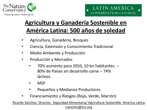 500 years of Solitude