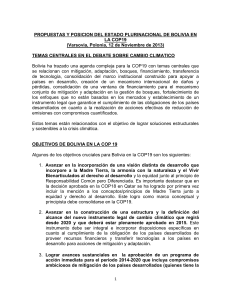 PROPUESTAS Y POSICION DEL ESTADO PLURINACIONAL DE