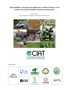 Final Report Nicaragua - DAPA