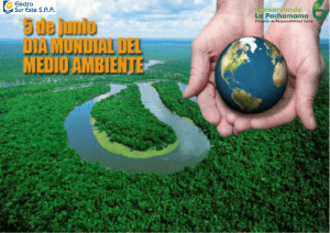 dia mundial del medio ambiente