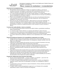 Pilsen Summary Spanish