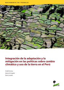Integración de la adaptación y la mitigación en las políticas sobre