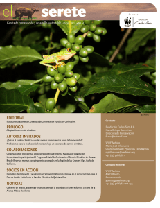 editorial prólogo autores invitados colaboraciones socios en acción