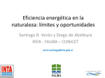 Eficiencia energética de la naturaleza: límites y oportunidades