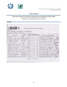 AYUDA DE MEMORIA Grupo asesor de Mecanismo de Distribución