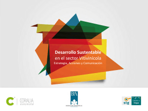 Desarrollo Sustentable en el sector Vitivin&iacute;cola