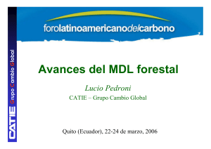 Avances del MDL forestal