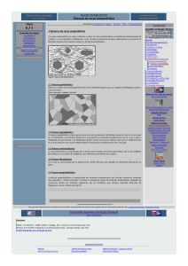 Texturas de rocas metamórficas Contenido Apuntes Geología General