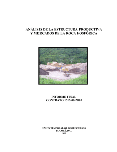 análisis de la estructura productiva y mercados de la roca