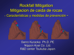 Mitigación de Caida de Rocas
