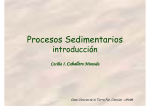 Procesos Sedimentarios