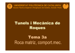 Roca matriz - Universitat Politècnica de Catalunya