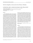 Revisión estratigráfica y estructura de la Sierra Plomosa, Chihuahua