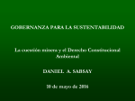 Daniel Sabsay – Derecho Ambiental Minero