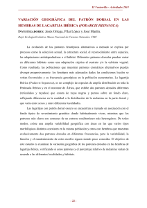 VARIACIÓN GEOGRÁFICA DEL PATRÓN DORSAL EN LAS