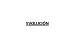 EVOLUCIÓN