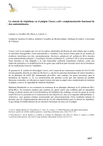 O17 La síntesis de triptófano en el pulgón Cinara cedri