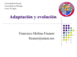 Adaptación y evolución