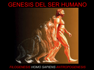 Diapositiva 1 - PRIMAFILOSOFA