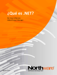 ¿Qué es .NET?