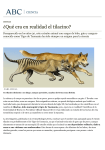 ¿Qué era en realidad el tilacino? - ABC.es