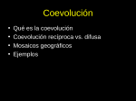 Coevolución - Mendoza CONICET