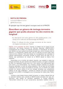 Describen un g&eacute;nero de tortuga terrestre gigante que pod&iacute;a