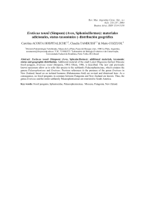 Eretiscus tonnii (Simpson) (Aves, Sphenisciformes): materiales