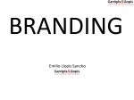 desarrollo de la estrategia de branding