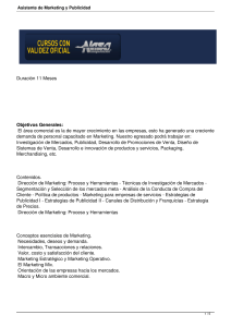 Asistente de Marketing y Publicidad